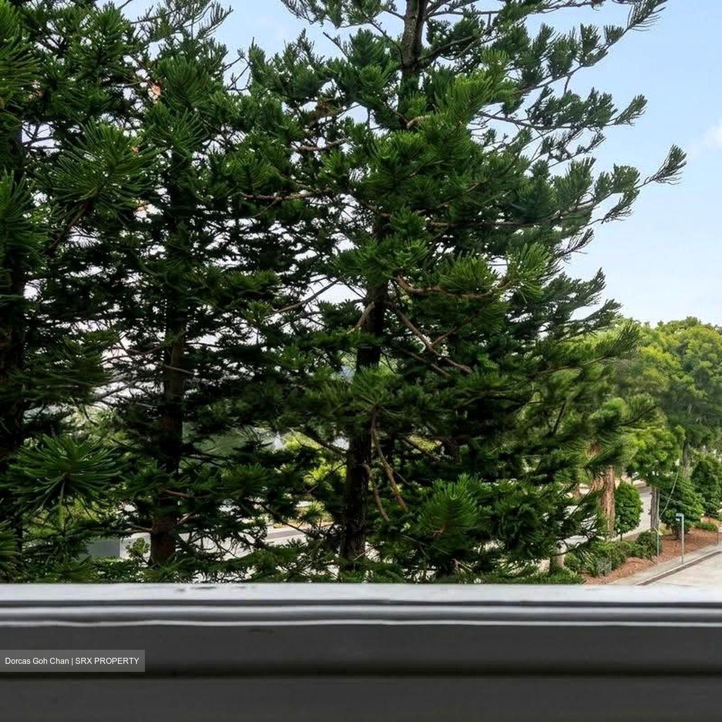 Orchid Park Condominium (D27), Condominium #629875191
